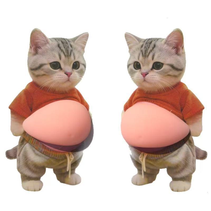 1/2Pcs Cute 3D Squeezable Soft Belly Dog Cat Stickers DIY Relieve Stress Mobile Phone Laptop Decoration Decal Home Decor