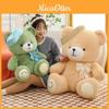 Adorable Colorful Bear Plush Toy For Kids With Soft Pp Cotton Filling In Champagne And Green