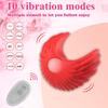 Wiederaufladbarer Silikon-Brustwarzen- und Klitorisstimulator für Frauen