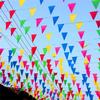 Colorful Triangle Flag Bunting 100M 150 Sides Reusable Polyester Banner for Garden Patio Holiday Party Outdoor Decor