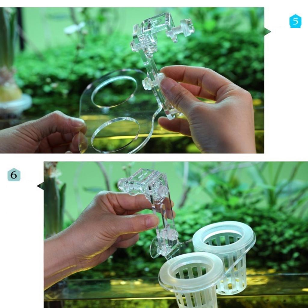 Support de plantes d'aquarium à suspendre pour culture de plantes aquaponiques avec fentes et trous pour aquariums