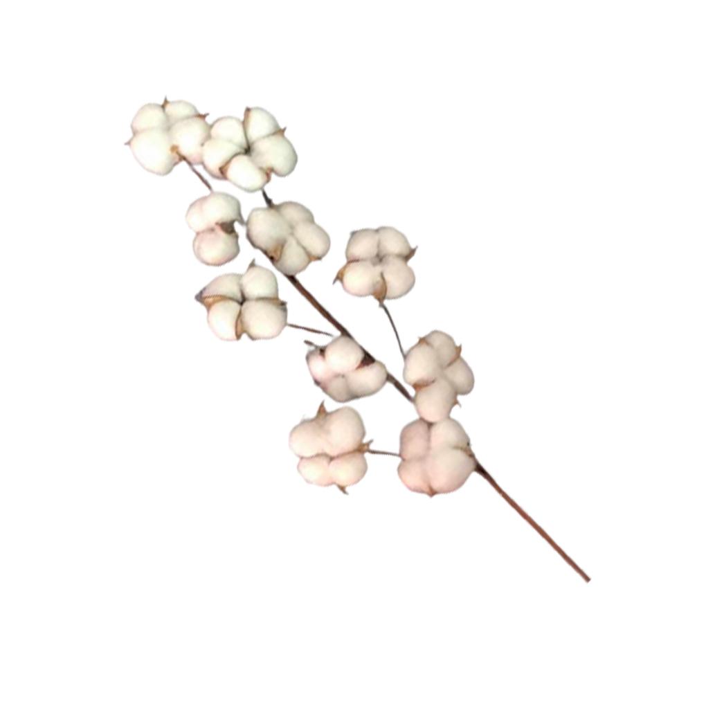 

Сухоцветы Многоцелевые искусственные цветы Домашнее украшение Специальные украшения Художественные аксессуары Рождественские мероприятия