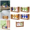 Hydroponic Flower Vase Modern Decorative Vase for Country Home Wedding