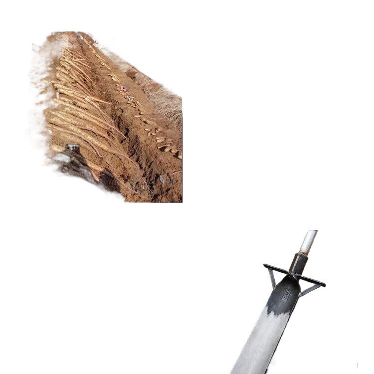 Manganese Steel Luoyang Shovel for Bamboo Shoots, Trees, and Ditch Digging - Outdoor Root and Soil Tool.