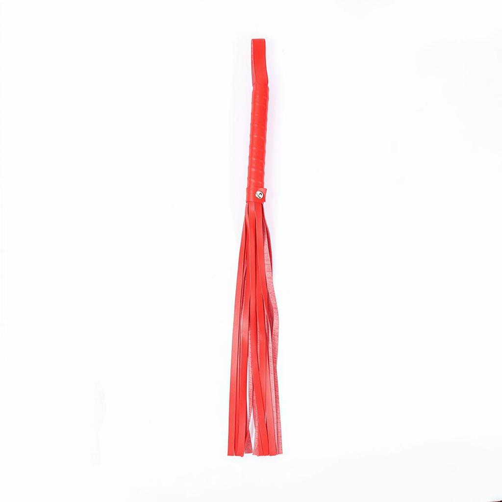 Whip & Nipple Clamp Set: Adult Teasing Toy for Bisexual Play
