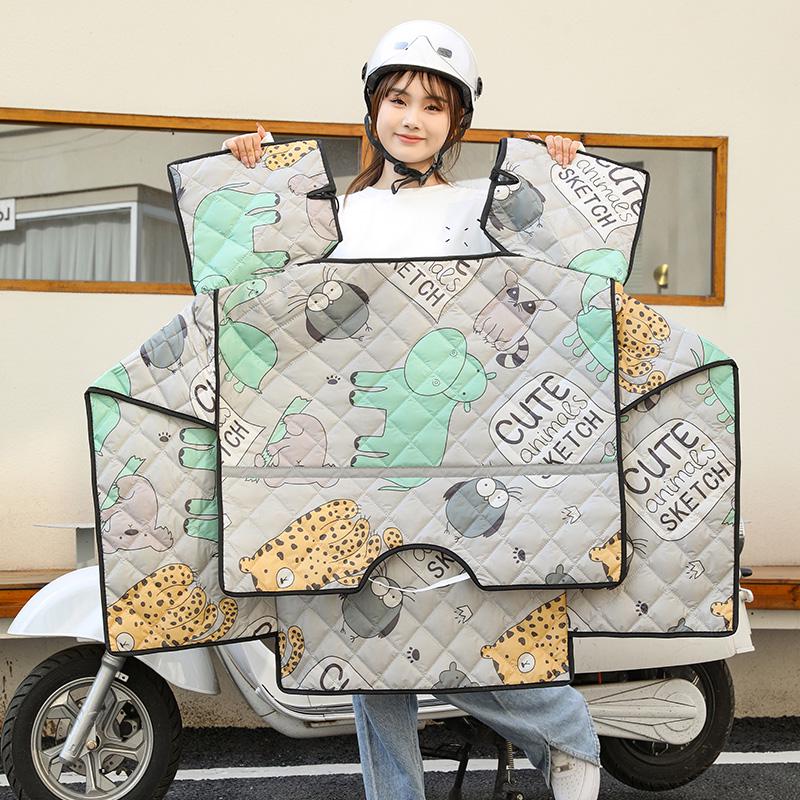 Windschutzscheibe für Elektrofahrrad: Sommer-Sonnenschutz, Sonnenschutzmittel, Winddicht, Doppelseitige wasserdichte Steppdecke für Frühling & Herbst.