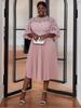 Plus Size Lace Lantern Sleeve Dress with Pleated Skirt - Christmas Gift