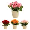 Exquisite Rose Flower Freshing House Plant Natural Potted