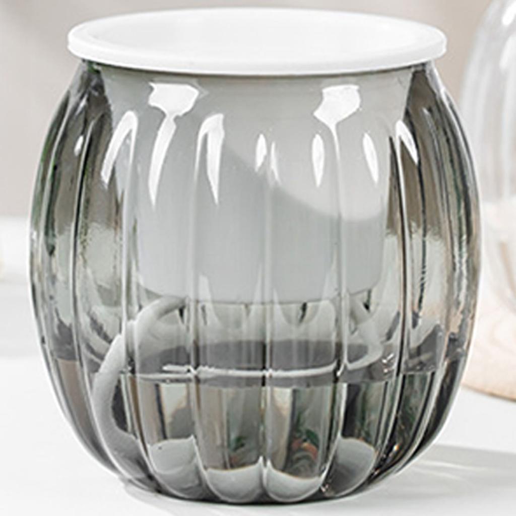 Clear Self Watering Planters Pots Modern Transparent Plants Care Pots for Garden Enthusiast Lover Gift
