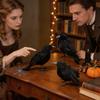 Black Artificial Feather Decoration for Halloween Party, House Scary Prop, Table Centerpiece and Hanging Decor