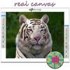 5D DIY Diamond Painting Animal White Tiger Cross Stitch Diamond Art Embroidery  Mosaic Home Deco