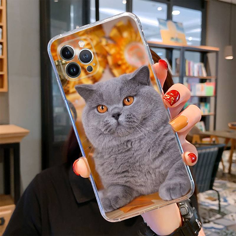 Britská krátkosrstá kočka Pouzdro na telefon pro iPhone 14 13 12 11 Pro Max XS X XR SE 2020 6 7 8 Plus Mini průhledné pouzdro