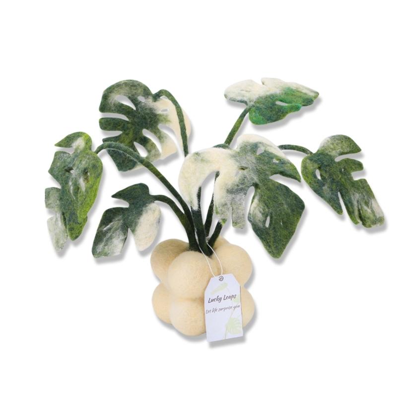 

Needle Felting Supplies Monstera Potted Plant Wool Felted Set with Felting Needle Instruction Wool Roving for Beginner 1