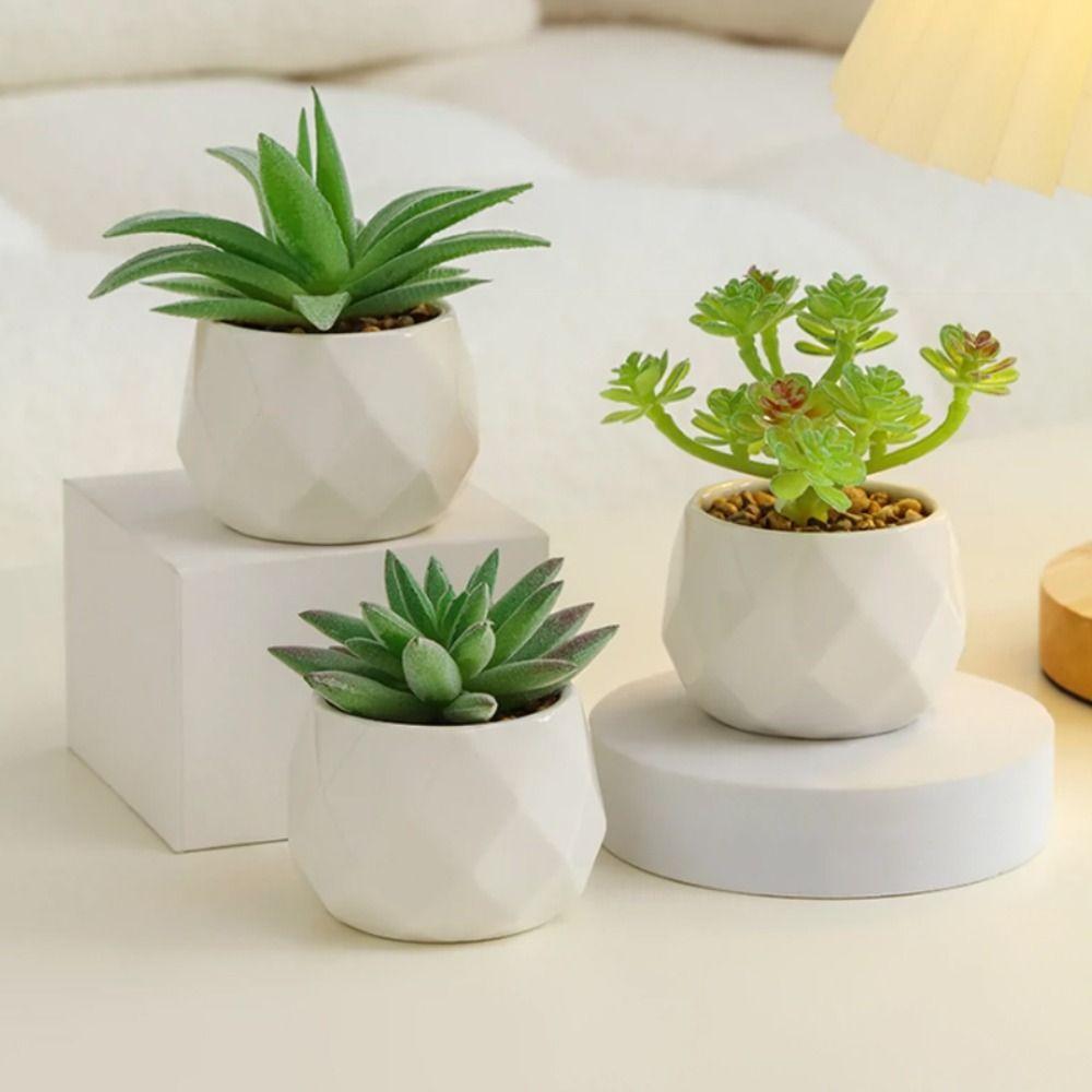 

Aloe Succulent Plants Mini Simulation Bonsai Realistic Artificial Succulent Bonsai Home Decor