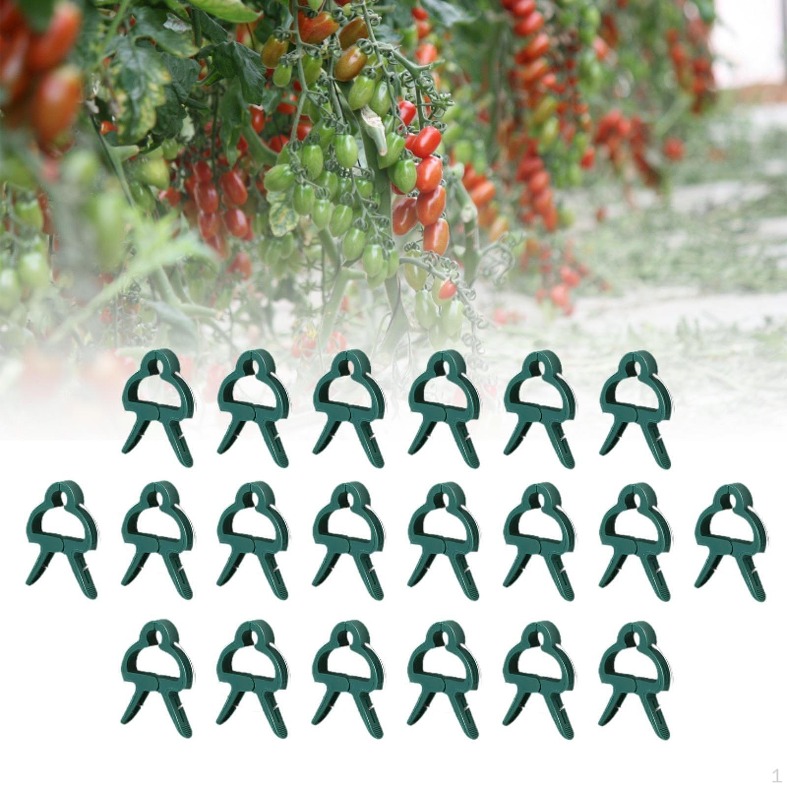 Plant Support Clips for Climbing Plants And Vegetables 6x4.5cm