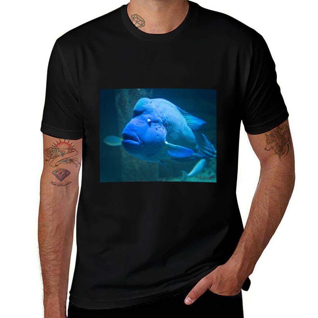Animal Portrait - Maori Wrasse (1) T-shirt T Shirts For Man Slim Fit Funny T Shirts Man Funny T Shirts Cotton T-shirt