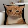 P-Funny Cat Meme Cushion Cover Natural Linen Pillowcase Set, All-In-One Decor For Sofa, Bedroom & Chair