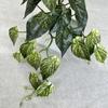 Artificial Silk Caladium Leaf Wall Hanging Vine Plant For Home Decor Wedding Props