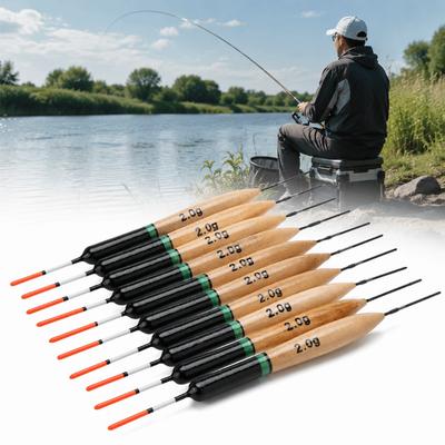 10 Stück 14cm Angelposen 2g Angelrutenposen Tragbare Angelposen Süßwasserfischen