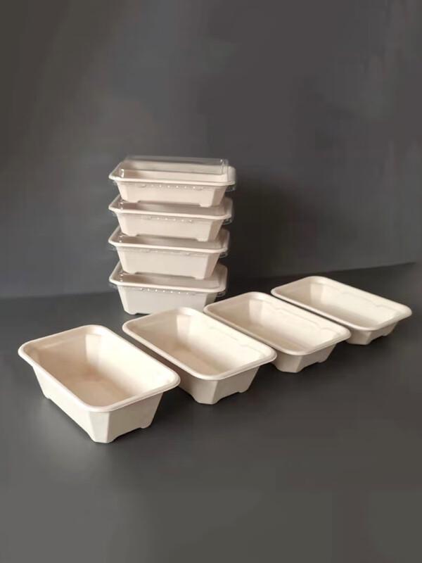 Biodegradable Hinged-Lid Food Containers