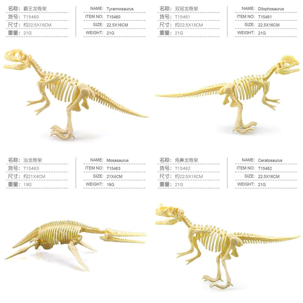 Dinosaur Fossil Model Kit With Assembly For Kids Paleoarchaeology Educational Toy