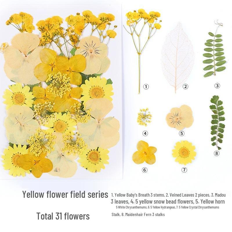 DIY Handmade Dried Flower Embossed Wall Clock with Wood Grain Border