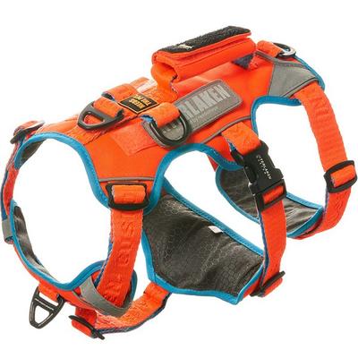 Interlaken Earthek Slim 3.0 Dog Harness, Aqua + Orange