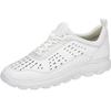 Spherica Sneakers