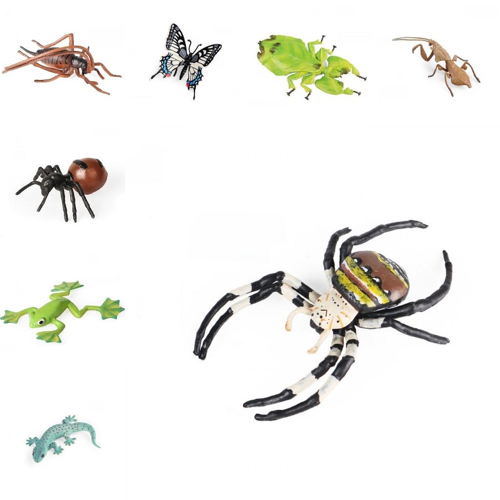 Insect Model Water Bug Toy With Plastic Material For Childrens Educational Play