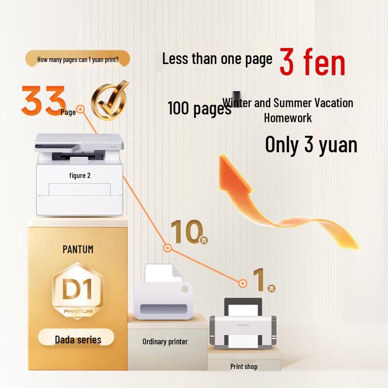 Pantum D1 Series Monochrome Laser Multifunction Printer CN plug (adapter included)