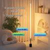 Oeny 160CM Smart Voice Control LED Floor Lamp