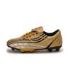Foreign Trade Football Shoes Children's Male Broken Nails Primary School Students Youth Football Shoes Female Students Training Shoes LLD004