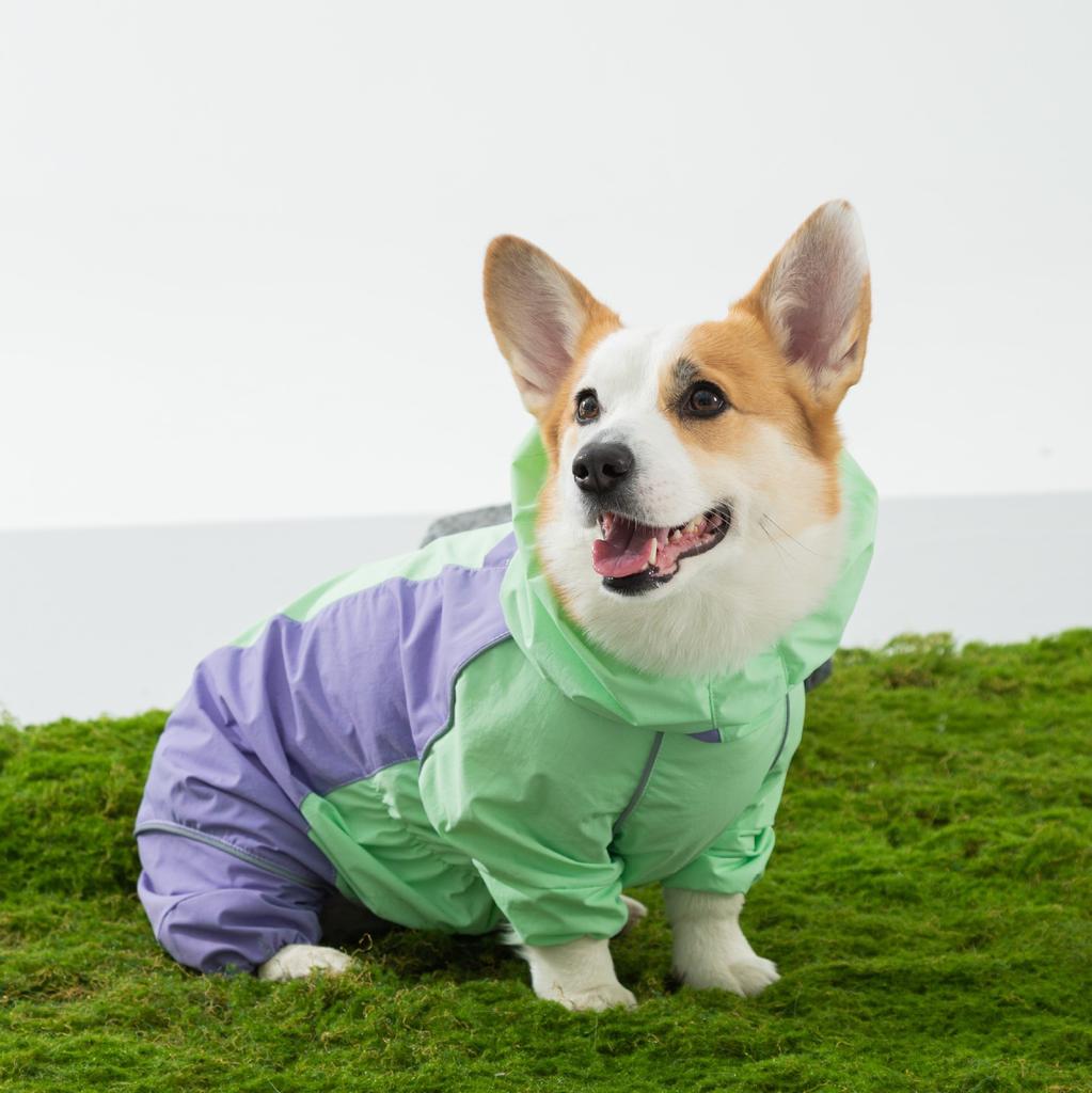 Nowy płaszcz przeciwdeszczowy dla psa rasy corgi, małe i średnie psy mogą go nosić o każdej porze roku, wodoodporne, wiatroodporne i wilgocioodporne ubranie na wyjścia