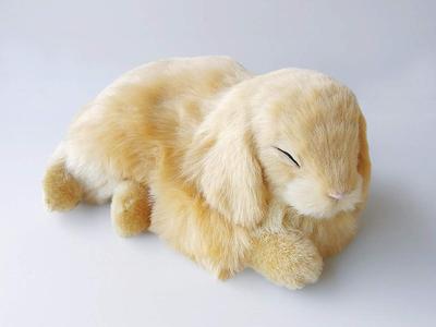 Ninian and Kino Perfect Pet (Small) Lop-Eared Rabbit (Beige) Plush Toy, Realistic, Lifelike, Animal, Soothing, Moving, Perfect Gift, Celebration,