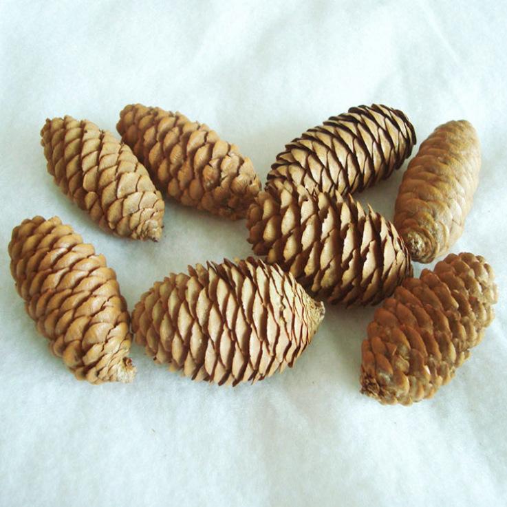 1-15Cm Natural Pine Cone Christmas Decoration Pendant Creative Ornament Shooting Prop Dried Flower Pine Tower