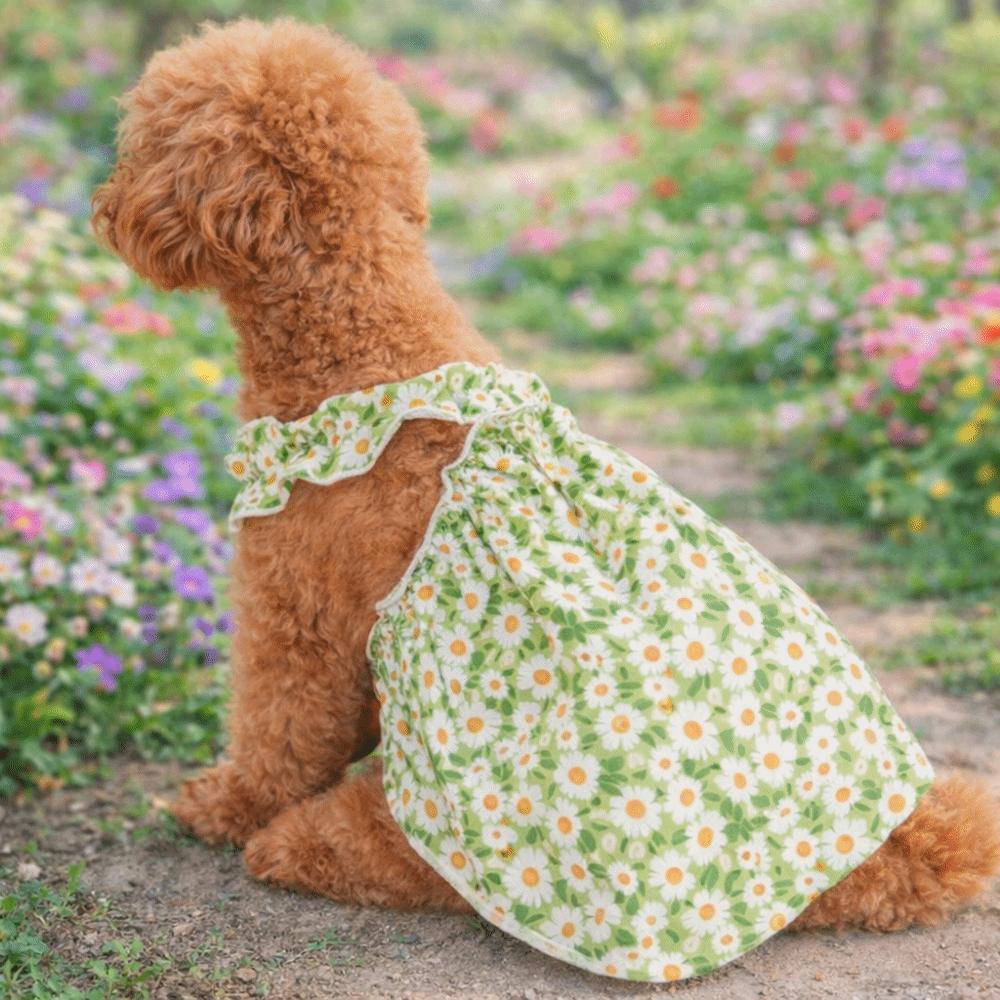 Sleeveless Cat Suspender Skirt Breathable Dog Vest Pet Princess Dresses  Photography