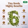 TATA Sampann Raw Green Pumpkin Seeds 500g, Rich In Protein & Fiber, Resealable Pack for Snacking & Cooking