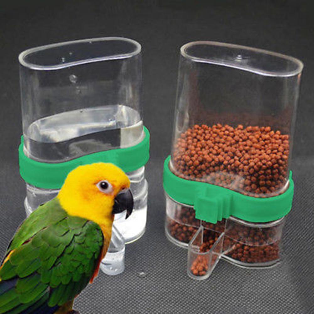 automatic budgie feeder