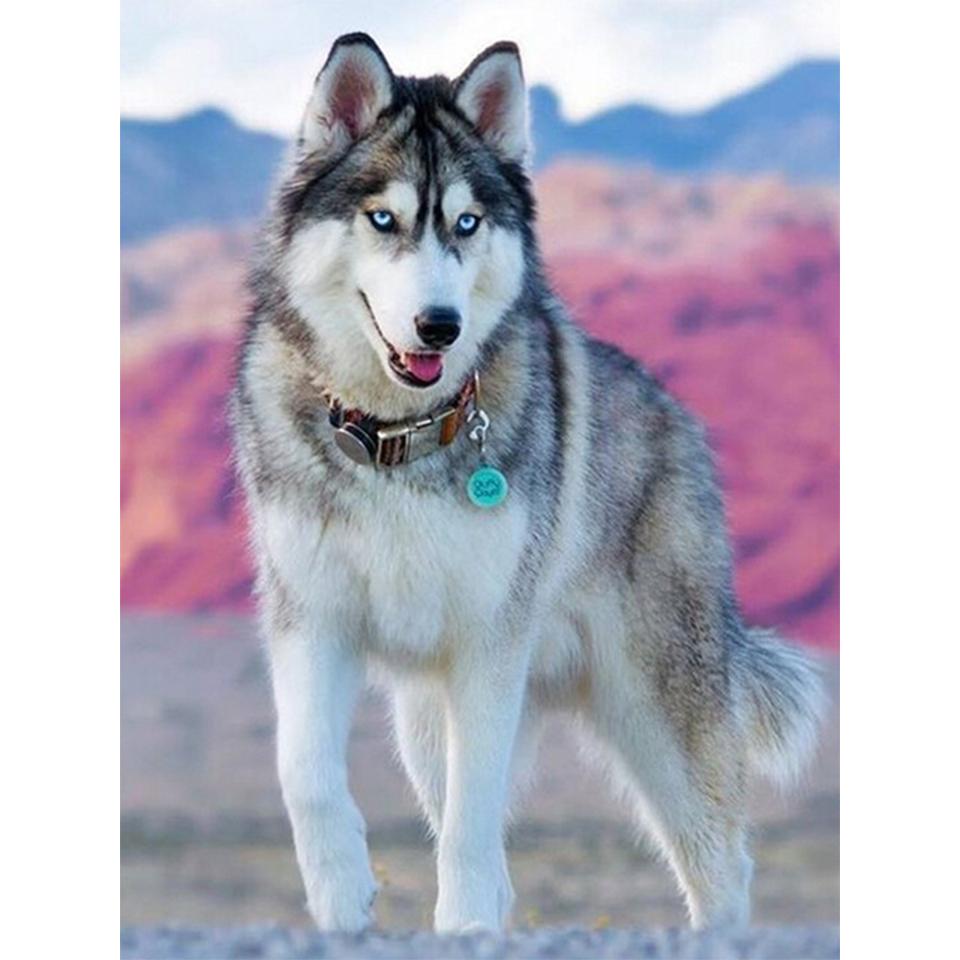 5D DIY Animals Diamond Painting Husky Pictures Full Diamond Embroidery Rhinestone Mosaic Cross Stitch Kit Furniture Decoration