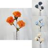 Elegant Artificial Peony And Camellia Silk Flowers For Home Decoration And Photo Shoots