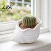 3D Printed Flowerpot Conch Flower Pot, Moisture-Resistant Mini Planter with Wavy Edge And Small Pot Drain Hole Design, Ocean Style for Pothos