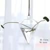 1Pcs Creative Hanging Glass Vase Transparent Hydroponic Container Terrarium Flower Plant Pot Garden Home Wedding Decoration