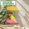 Parrot Leaf Standing Rod, - , Suction Cup, Grinding Claws, Resin Perching Station Poles