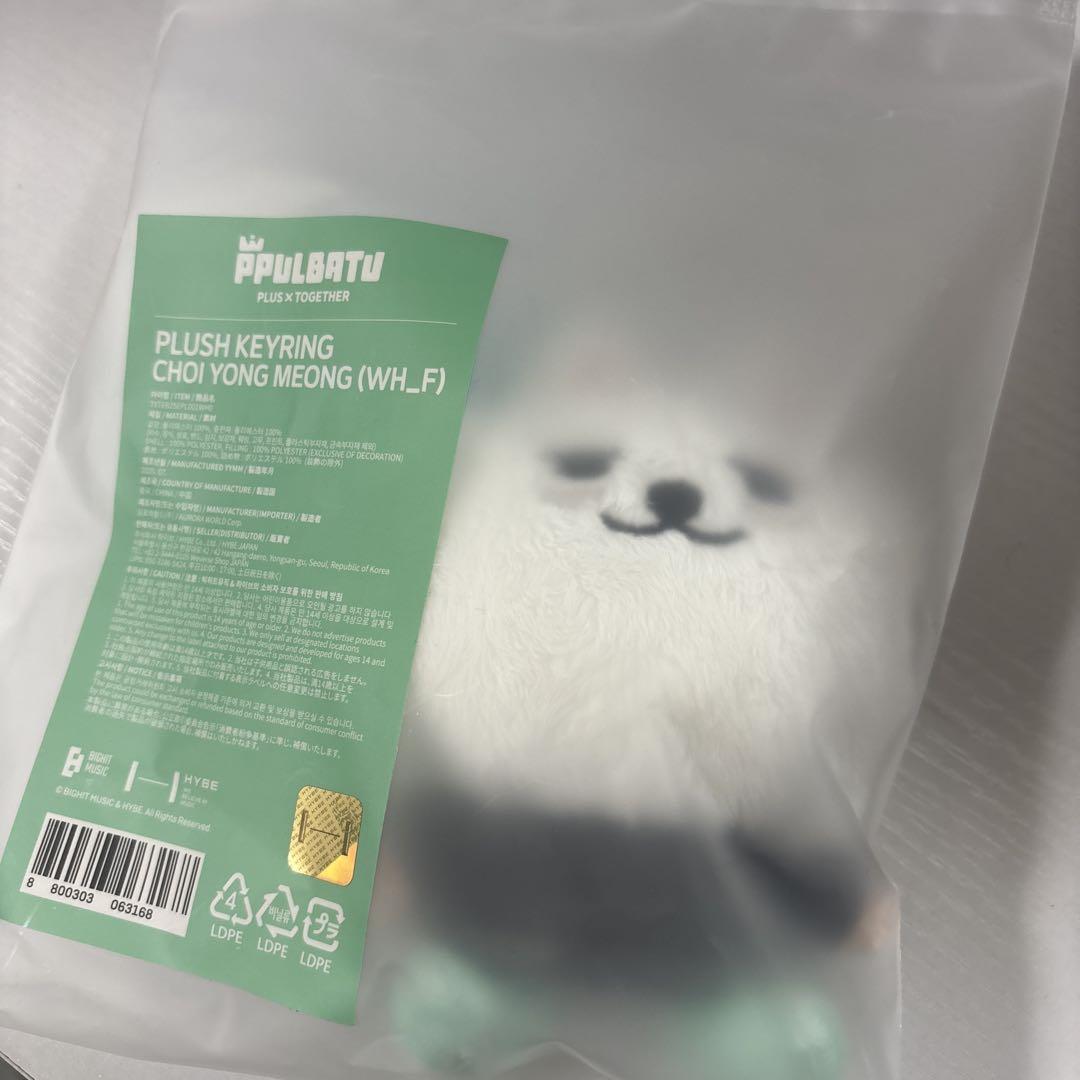 

[USED] PLUSH KEYRING CHOI YONG MEONG (WH_F)