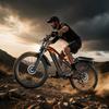 Electric Bike PULUMA PE86 Pro 26 Inch Tires 500W*2 Motor 48V20Ah Battery Torque Sensor 40km/h Max Speed 150km Max Range