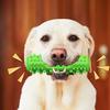 Pet Toy Teeth Cleaning Design Bite-Resistant TPR Medium Large Dogs Chew Toy with Built-In Sound Stimulator