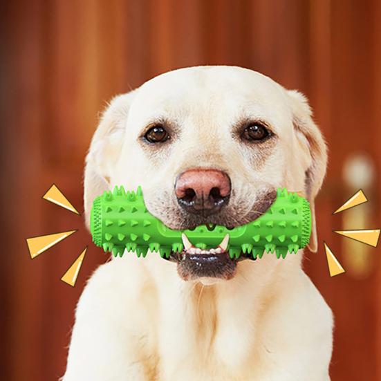 Pet Toy Teeth Cleaning Design Bite-Resistant TPR Medium Large Dogs Chew Toy with Built-In Sound Stimulator