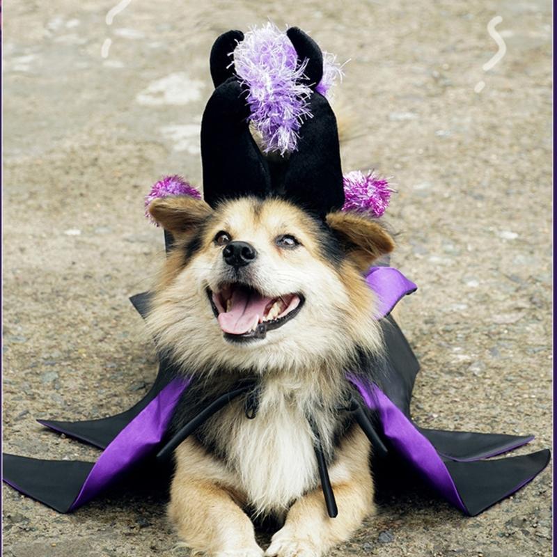 Dog Witch Costume/Devil Horn Hat for Pet Halloween Theme Party Dogs Costume Cloak for Small Cats Dog Cosplay Party Outfit