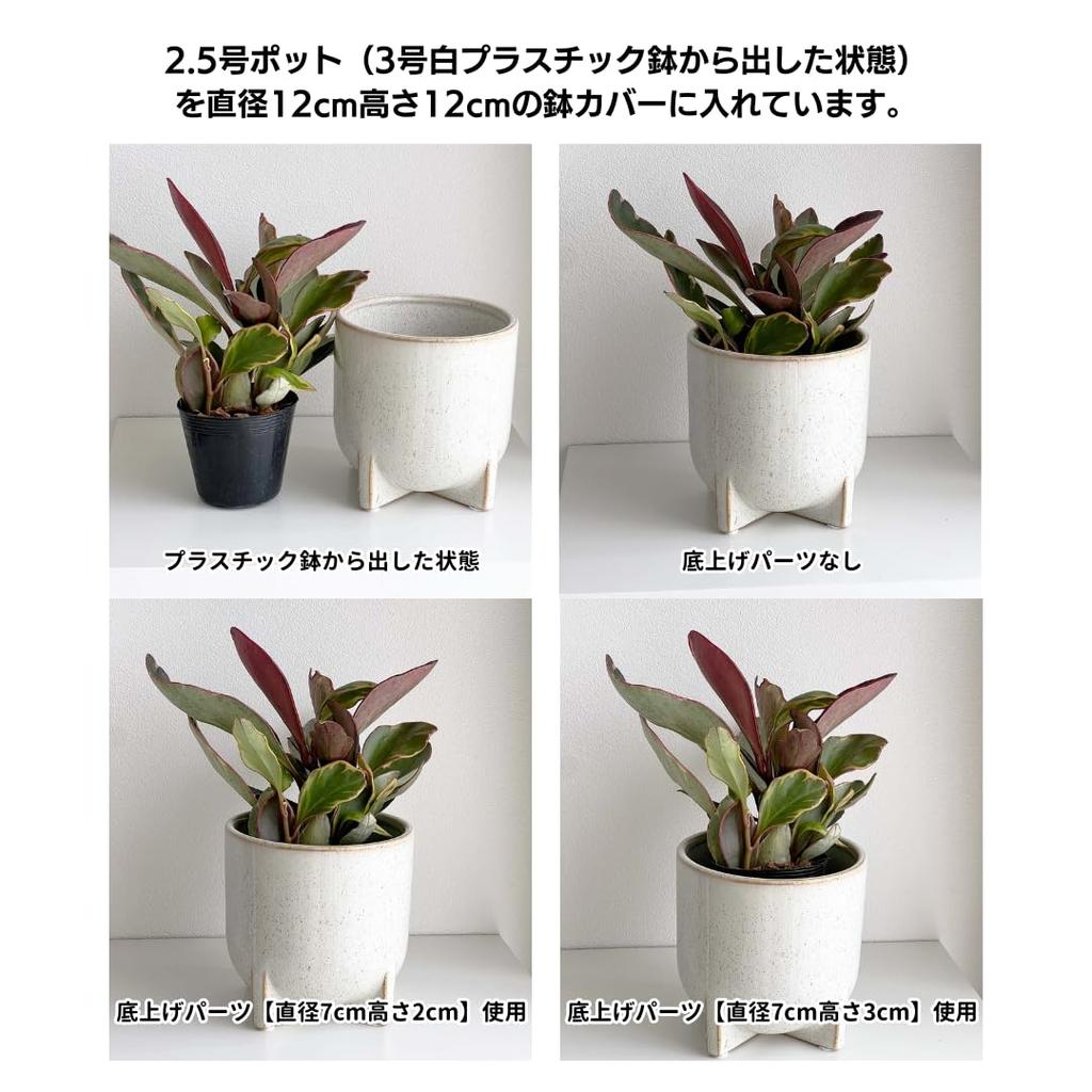 Diameter 15cm Height 5cm Inakougei Pot Cover Raised Bottom Pot Height Adjustment Root Rot Prevention Diameter Height Improved Breathability Healthy