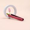 Mini Hair Iron GP103CV Compact Volume Glam Pink / Travel Use for Bangs